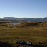 Estepa patagonica